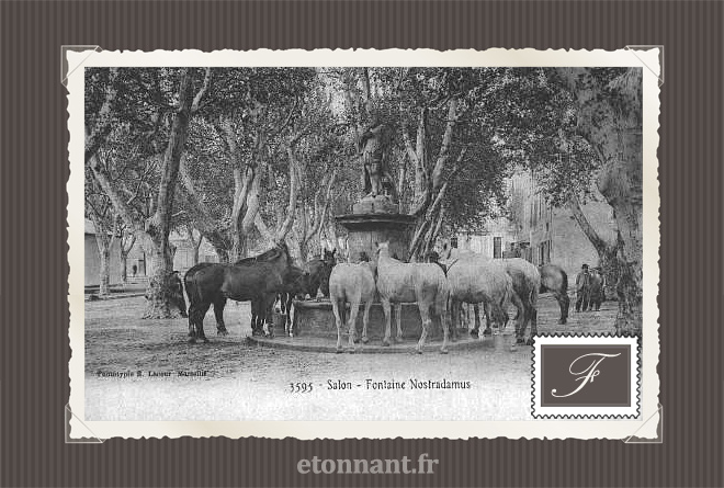 Carte postale ancienne : Salon-de-Provence