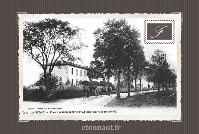 Carte postale ancienne : La Réole