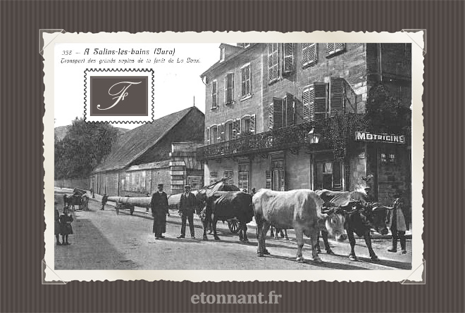 Carte postale ancienne : Salins-les-Bains