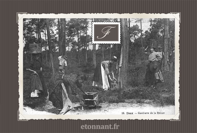 Carte postale ancienne de Dax (40 Landes)
