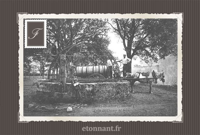 Carte postale ancienne : Paimboeuf