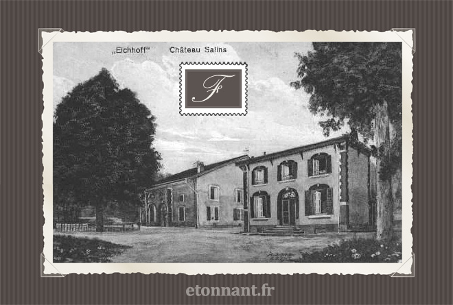 Carte postale ancienne de Château-Salins (57 Moselle)