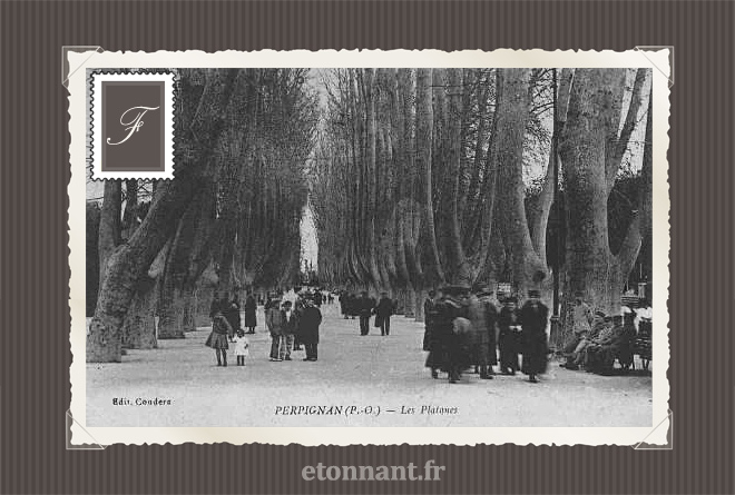 Carte postale ancienne de Perpignan (66 Pyrénées-Orientales)