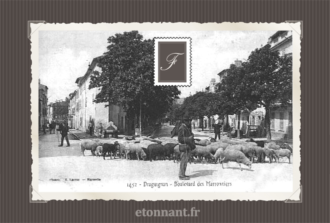 Carte postale ancienne de Draguignan (83 Var)