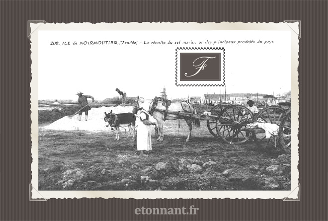 Carte postale ancienne de Noirmoutier-en-l'Île (85 Vendée)