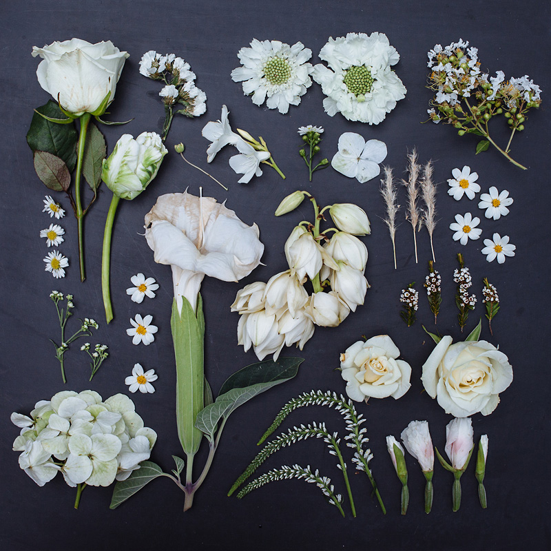 composition fleurs