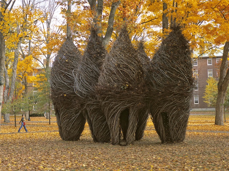 sculpture de branches