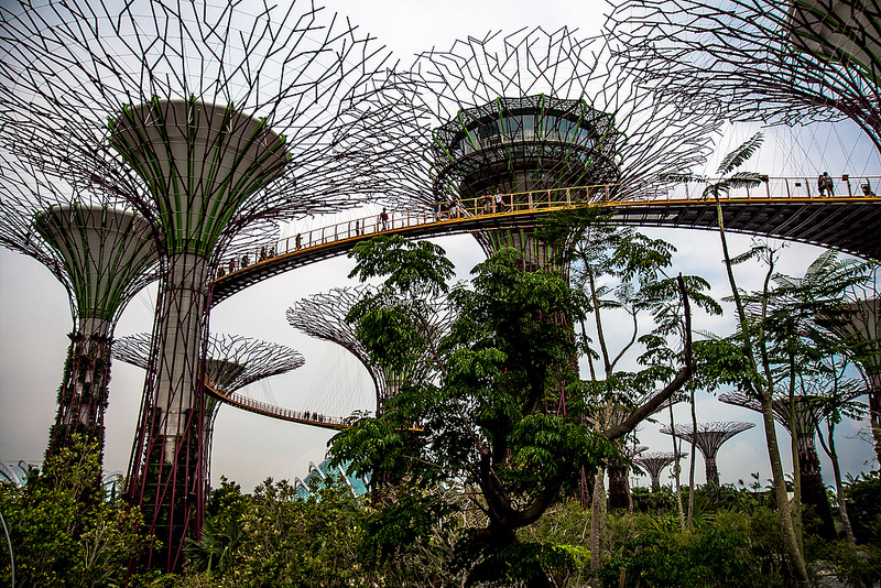 arbres artificiels de singapour