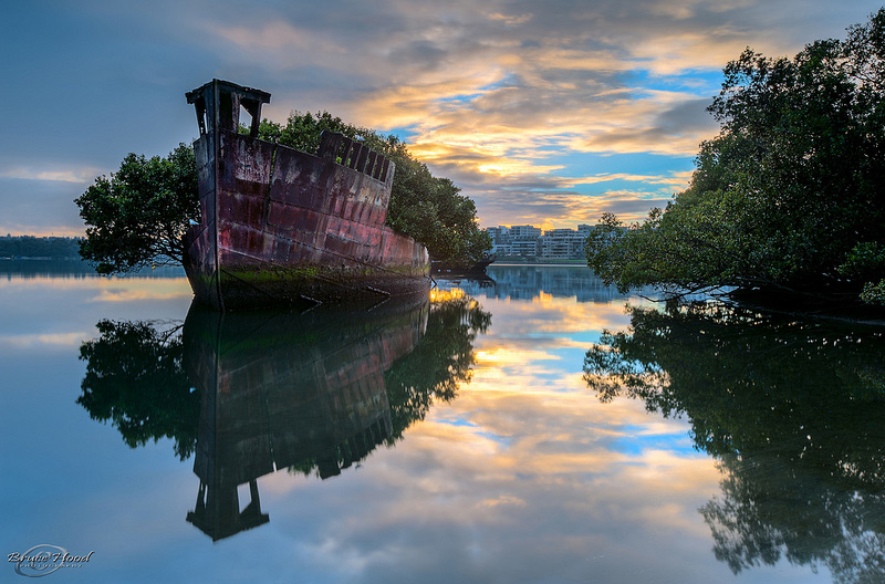Vieux bateau abandonné transformé en forêt flottante