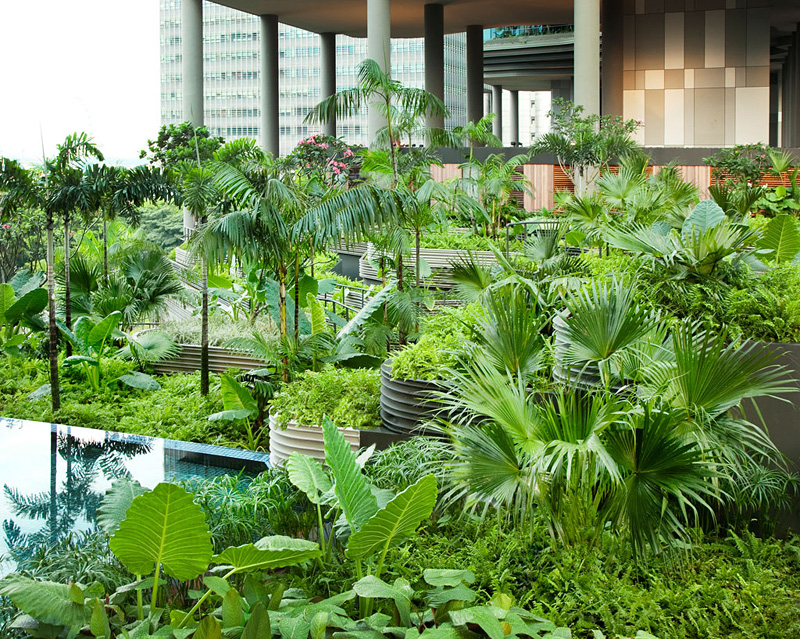 jardin suspendu dans un hôtel à Singapour