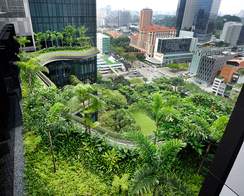 jardin suspendu dans un hôtel à Singapour