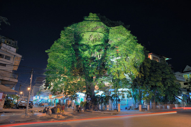 Projection d'images en 3D dans les arbres