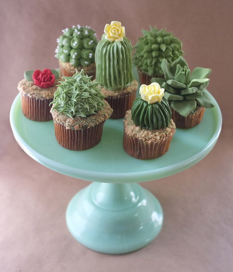 gâteau en forme de cactus