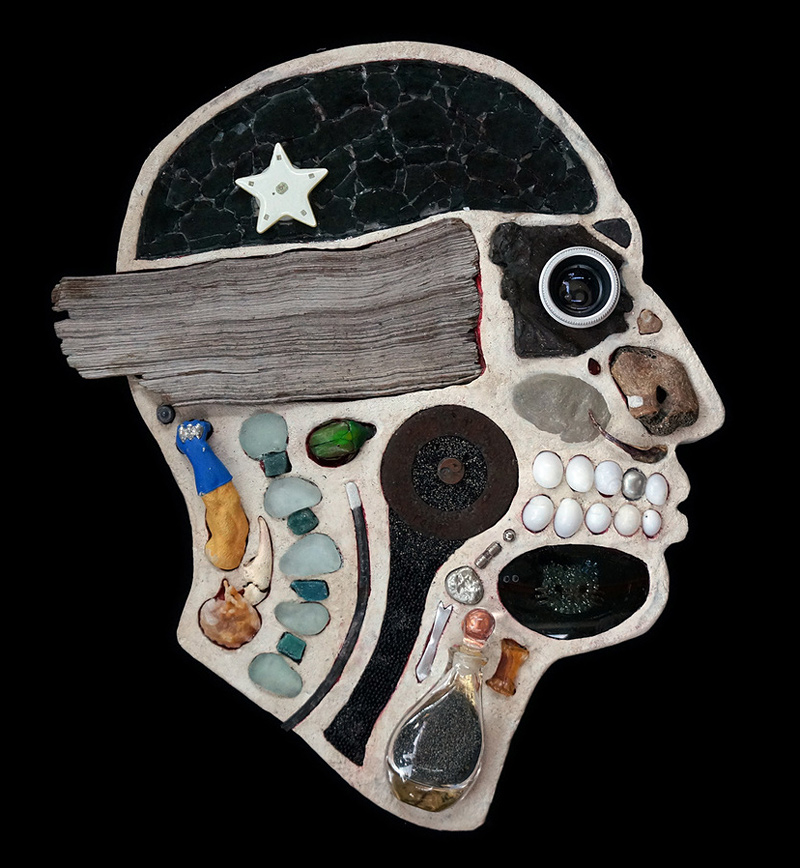 coupes anatomiques de têtes avec des objets hétéroclites