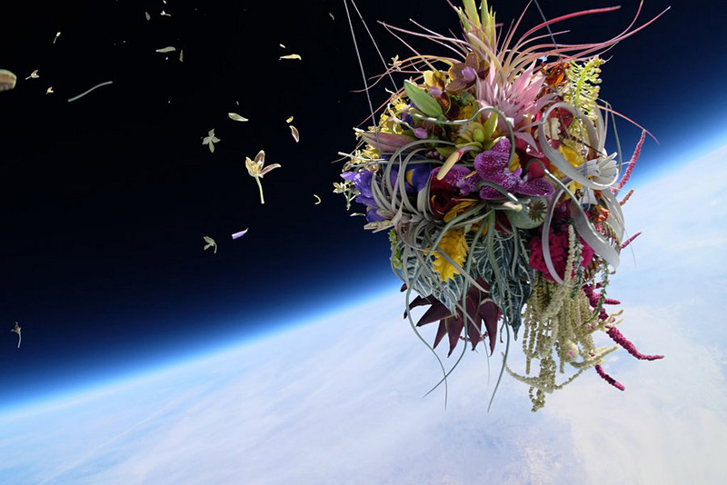 Des fleurs dans la stratosphère par Makoto Azuma