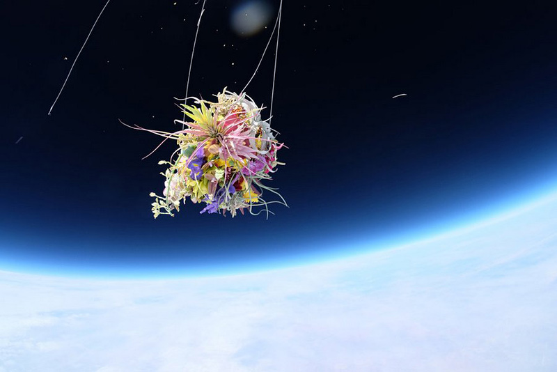 Des fleurs dans la stratosphère par Makoto Azuma