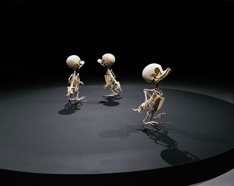 Squelettes de personnages de dessins animés célèbres