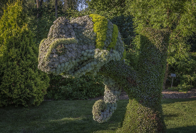 Sculptures végétales à l'exposition d’art horticole de Montréal