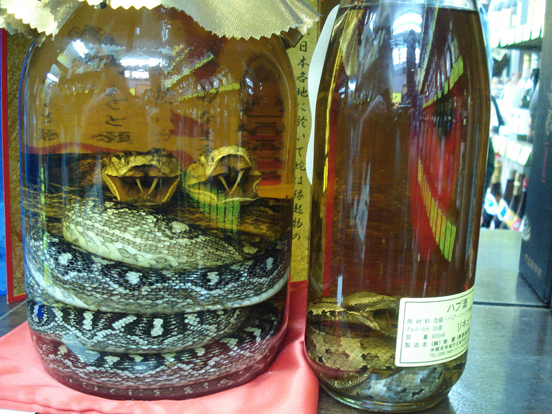 Habu Sake, du sake aux serpents