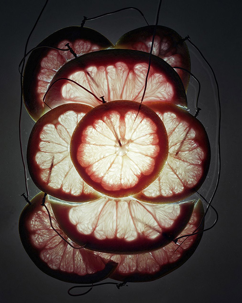 Utilisation de batteries électriques à base de fruits pour éclairer des photographies à longue exposition