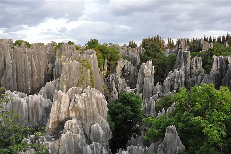forêt de pierre en chine