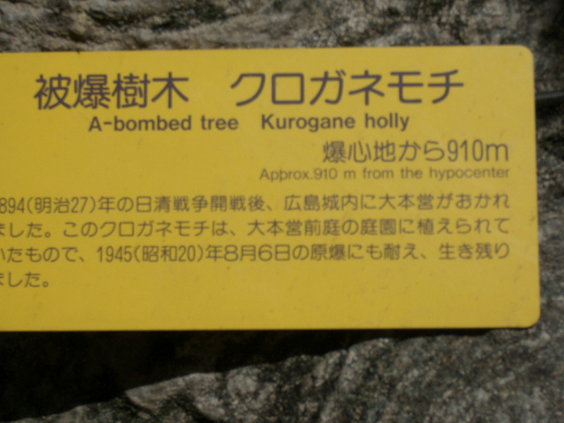 Arbres qui ont survécu à la bombe atomique d'Hiroshima, Hibakujumoku