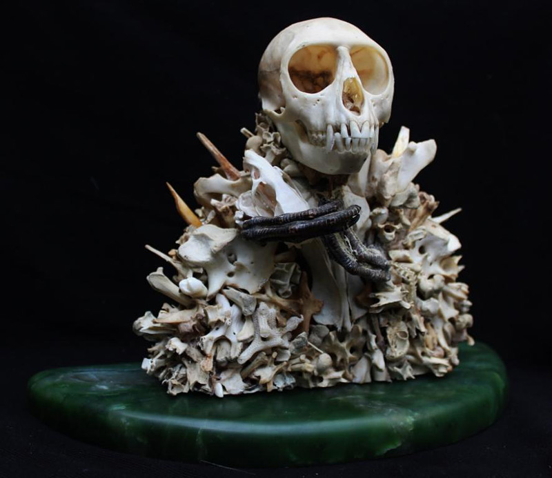 buste d'animal avec des os
