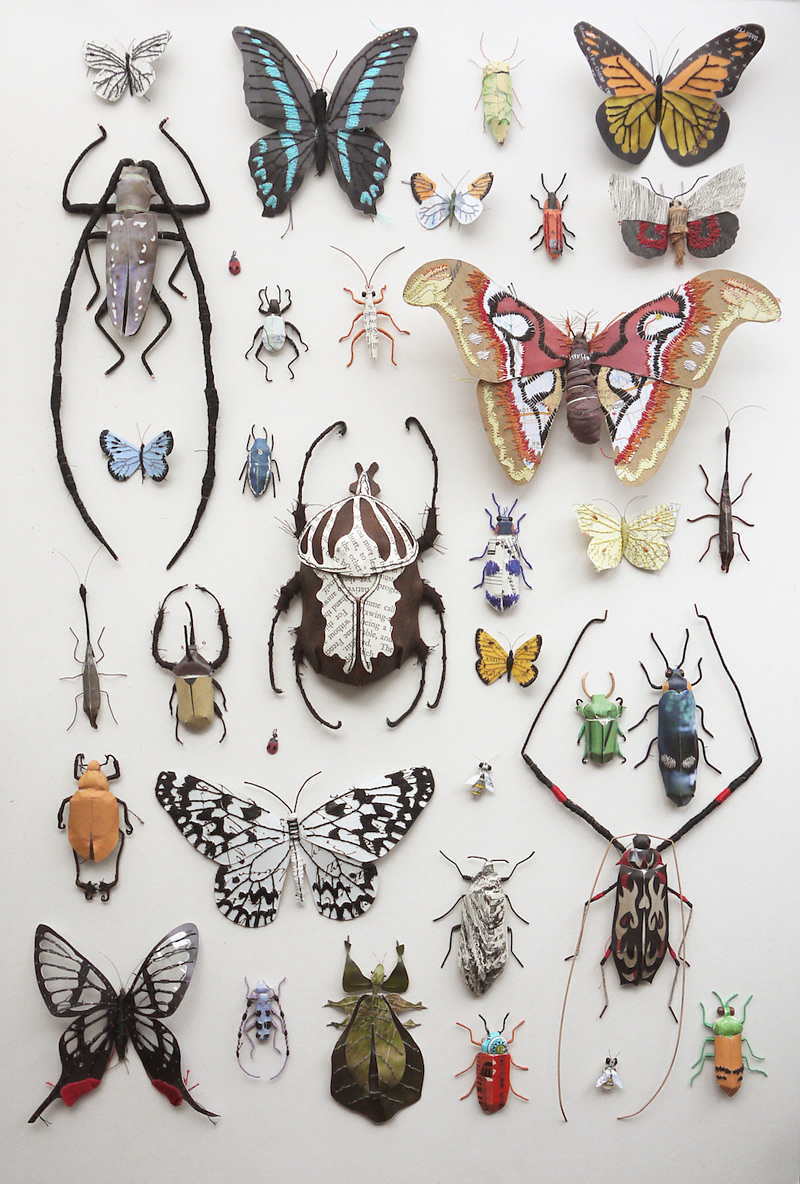 Sculptures de fleurs, champignons et insectes à partir de papier recyclé par Kate Kato