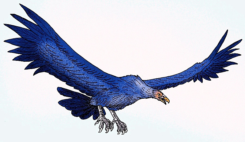 Argentavis Magnificens, le plus grand oiseau connu à avoir volé