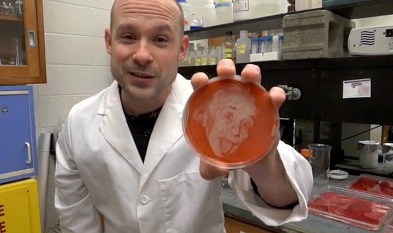 Zachary Copfer, portraits avec microbes