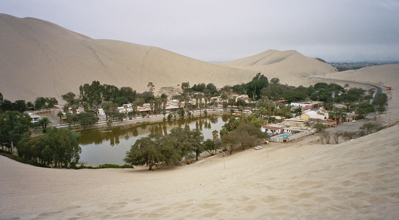 oasis dans le désert au Pérou