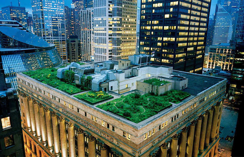 jardin sur le toit du Chicago City Hall