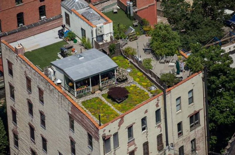 Une cabane bucolique sur un toit à Manhattan
