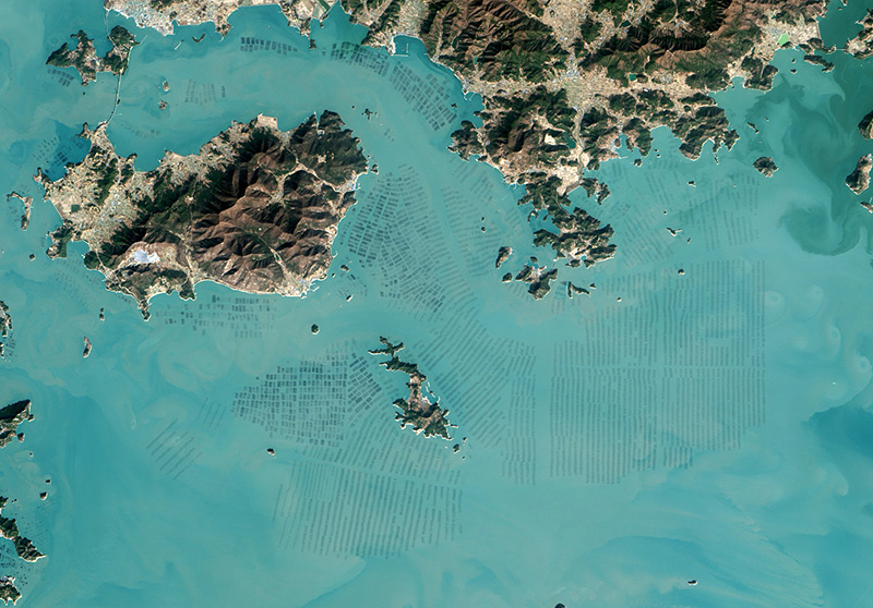 Photos fascinantes de fermes d'algues en Corée du Sud prises par satellite