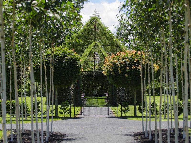 chapelle en Nouvelle-Zélande réalisée avec de vrais arbres vivants
