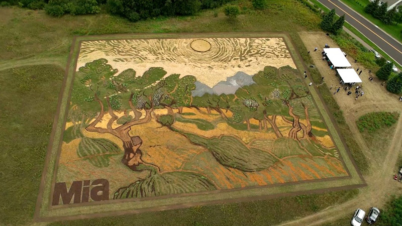 Tableau de Van Gogh dans un champs par l'artiste Stan Herd