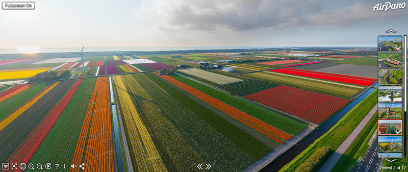 champs de tulipes aux Pays-Bas vu du ciel