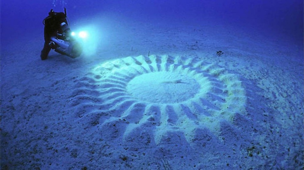 cercle sous-marin de poisson-globe
